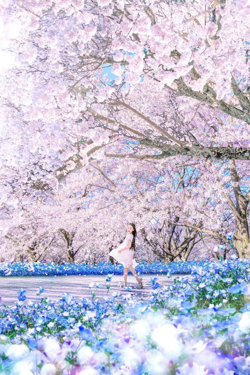 りこஐ:*@rico nanao tweet media