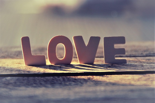 Logan Jackson tweet media