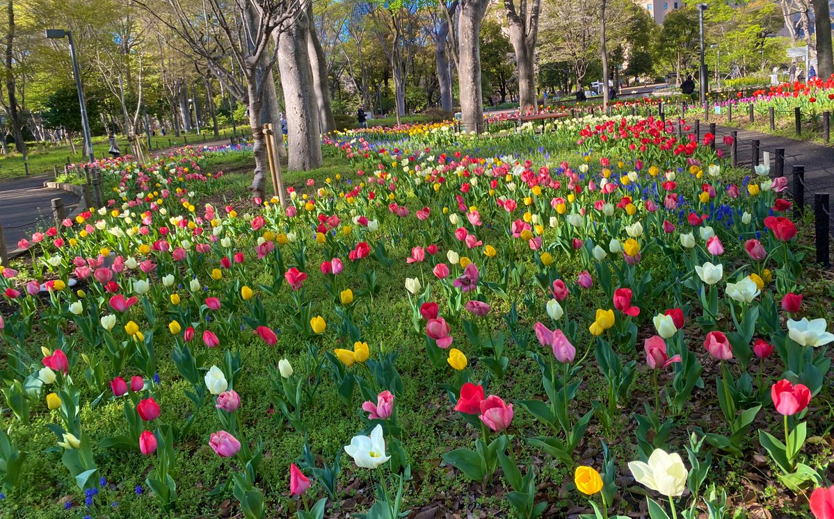 🤖𝚂𝚄𝙼𝙸𝚁𝙴🍆 tweet media