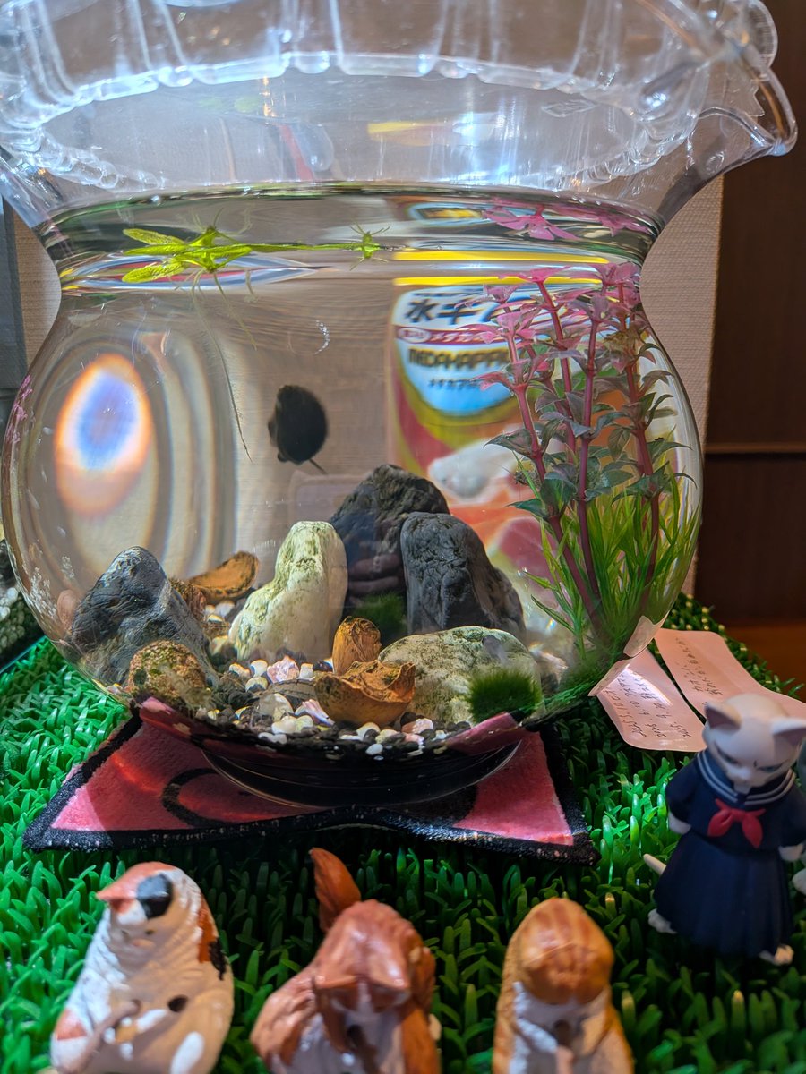 ☆マキーラ☆@忌服中 tweet media