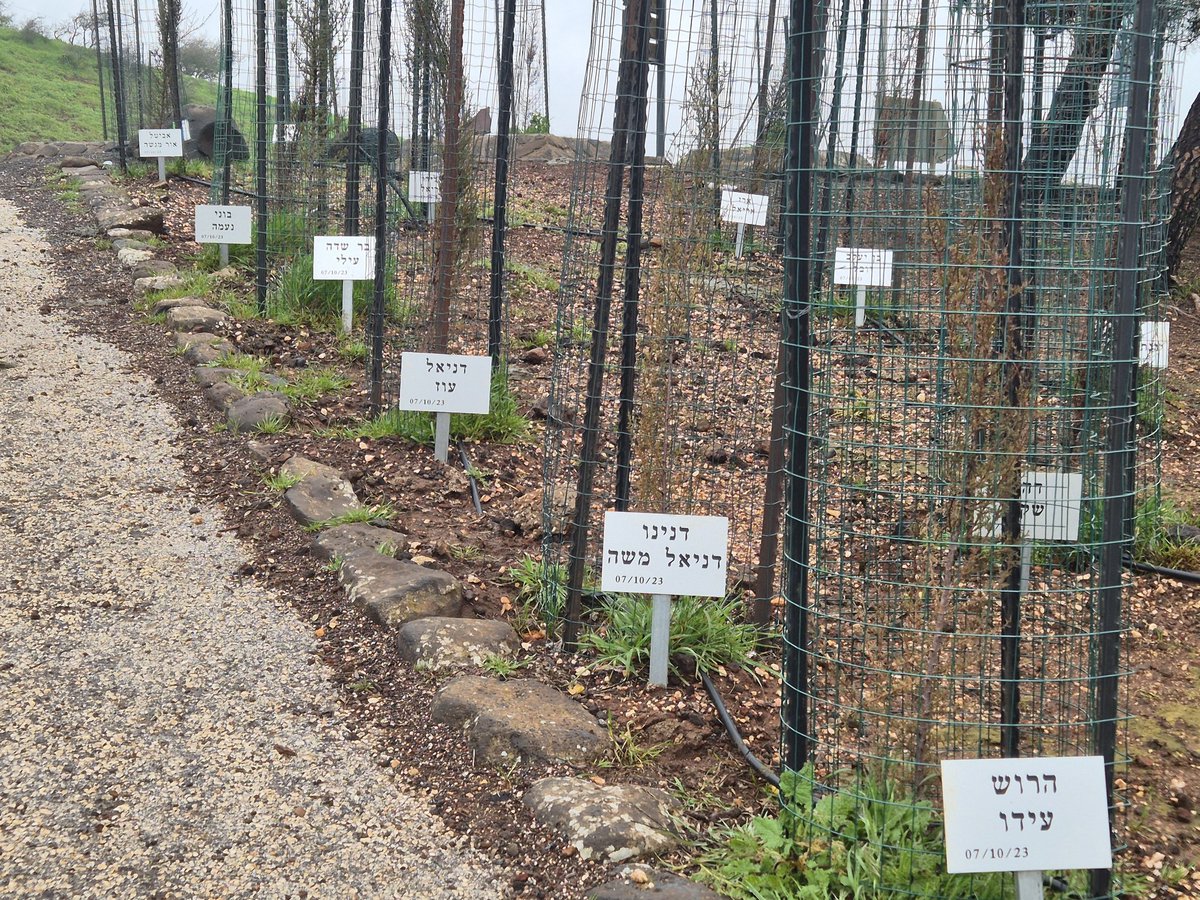 נעם כהן tweet media