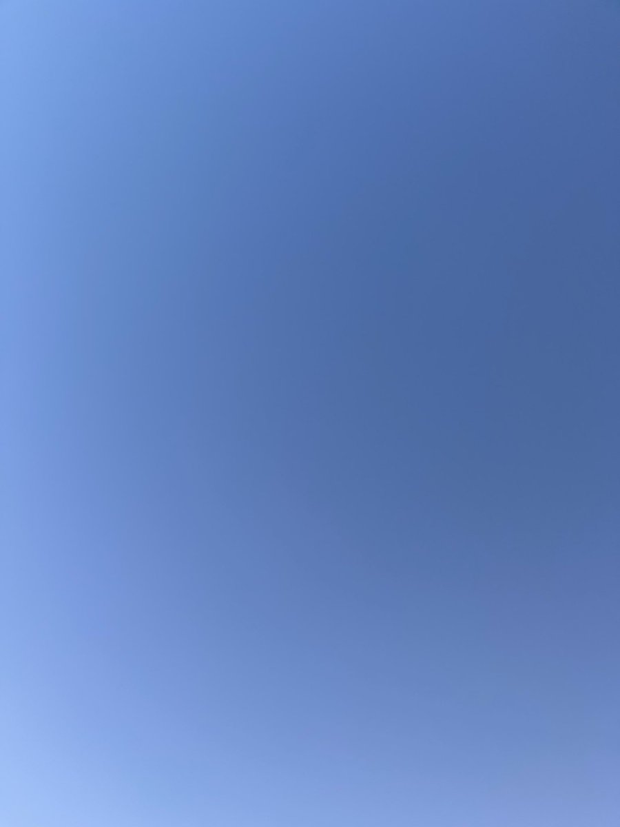 ずわい( ･᷄ὢ･᷅ ) tweet media