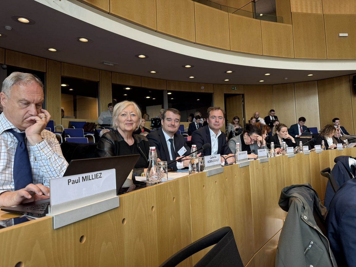 C.Morin-Desailly tweet media