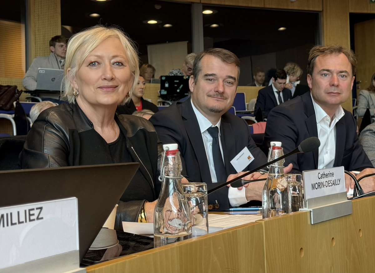 C.Morin-Desailly tweet media