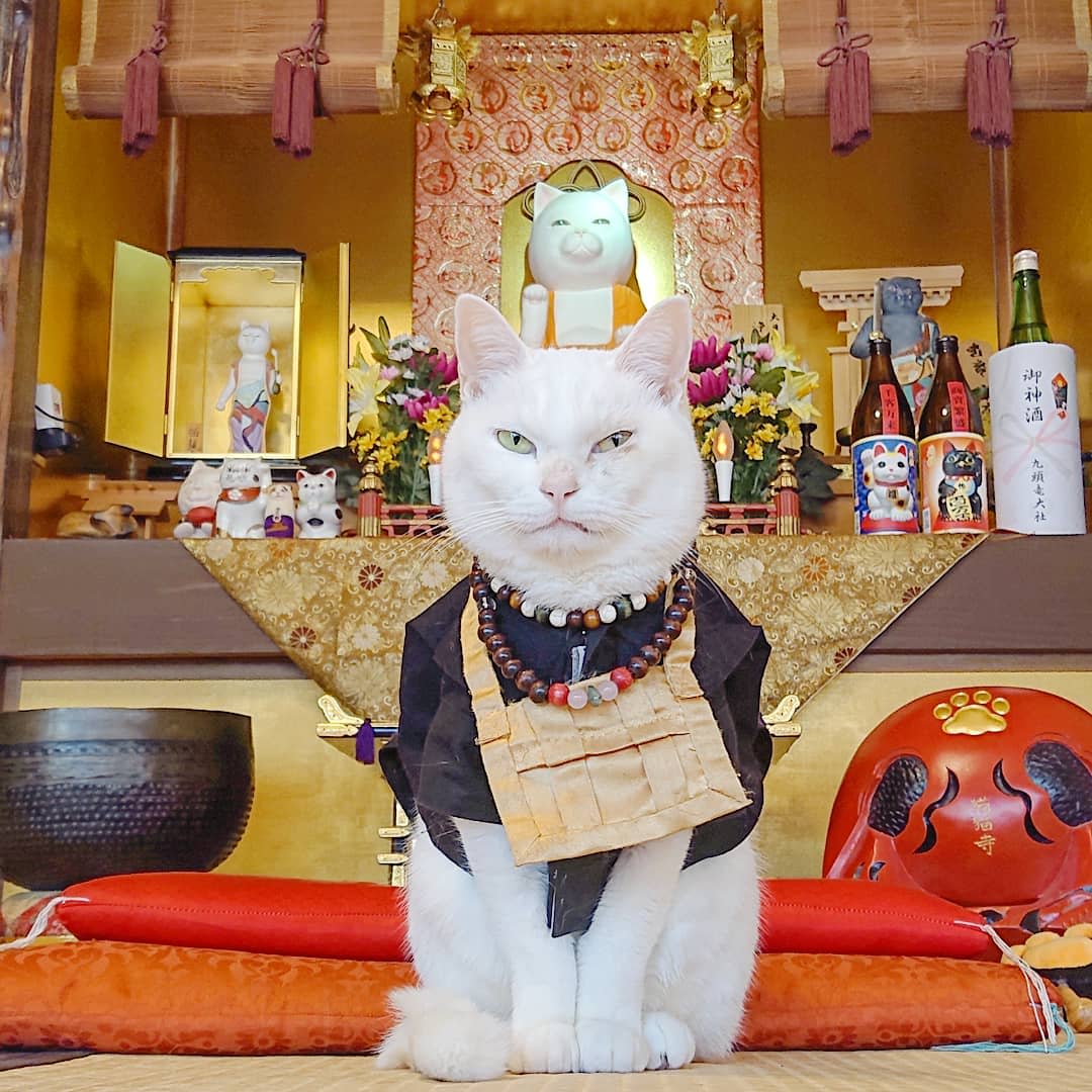 willnotpost tweet media