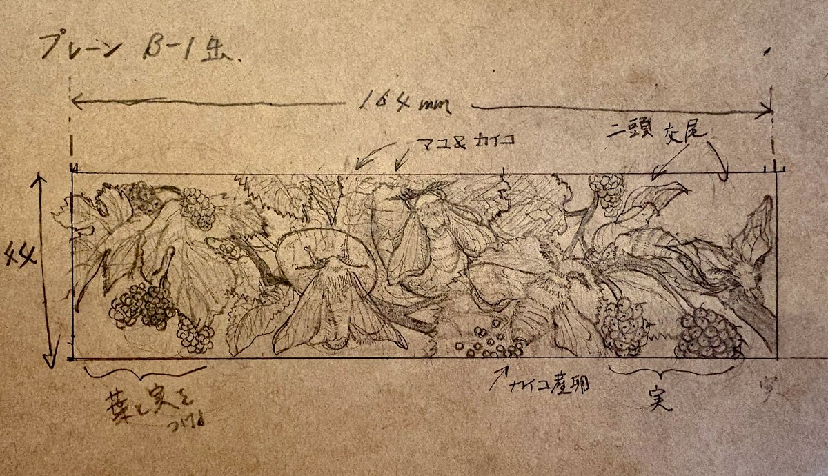 うつせみ標本屋@4/5カインズ城山店出店 tweet media