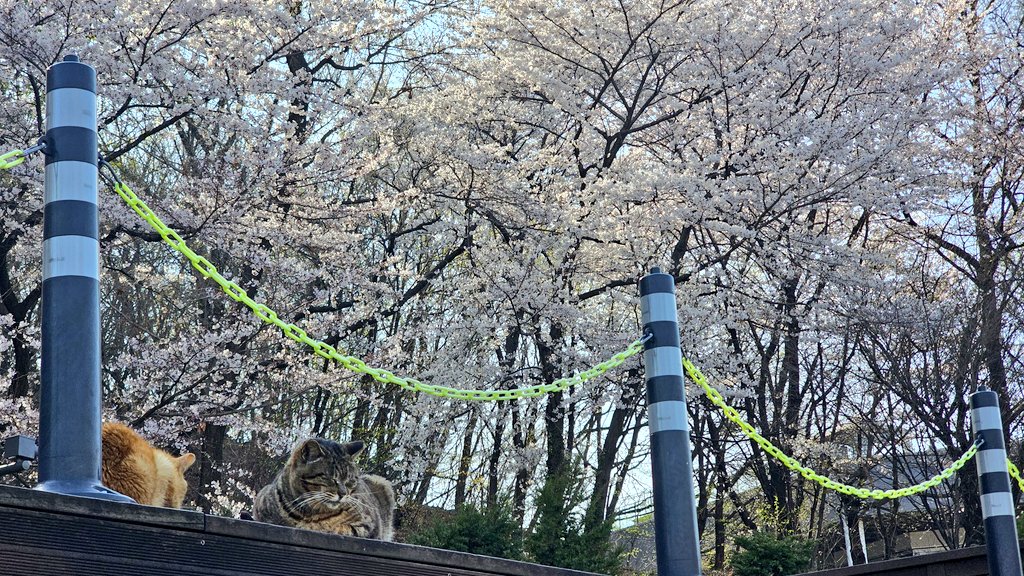 RubberLEE tweet media