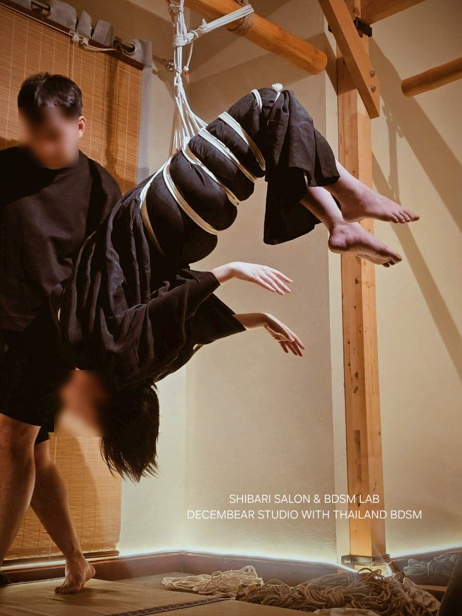 DECEMBEAR STUDIO tweet media