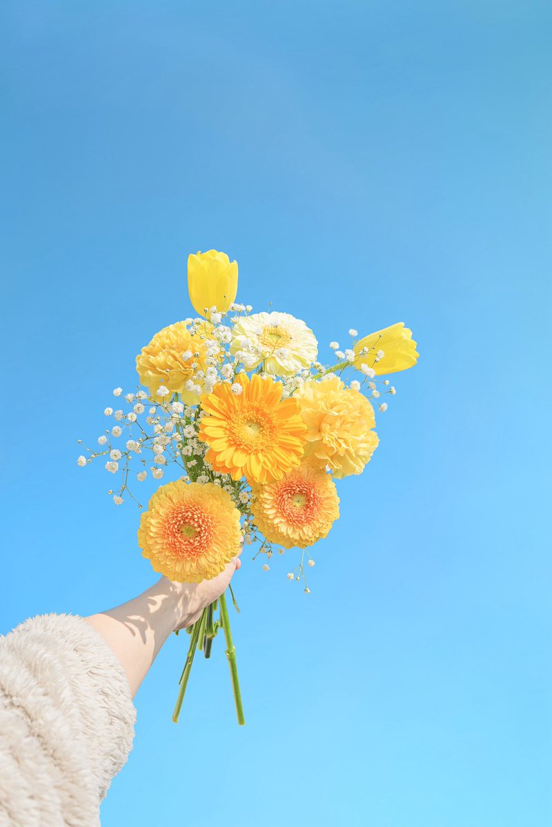 ビタミンカラーに癒されたい人へ🫧💛