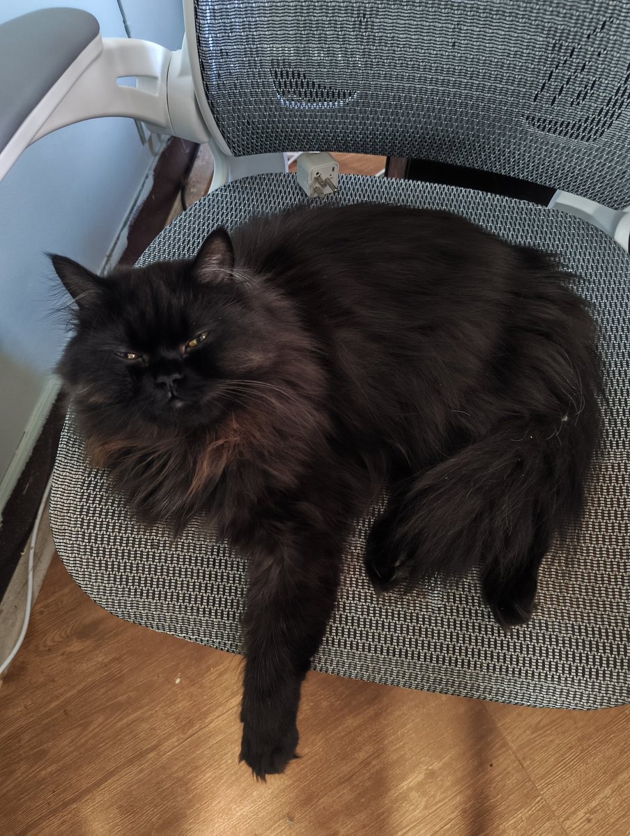 Lonoline tweet media