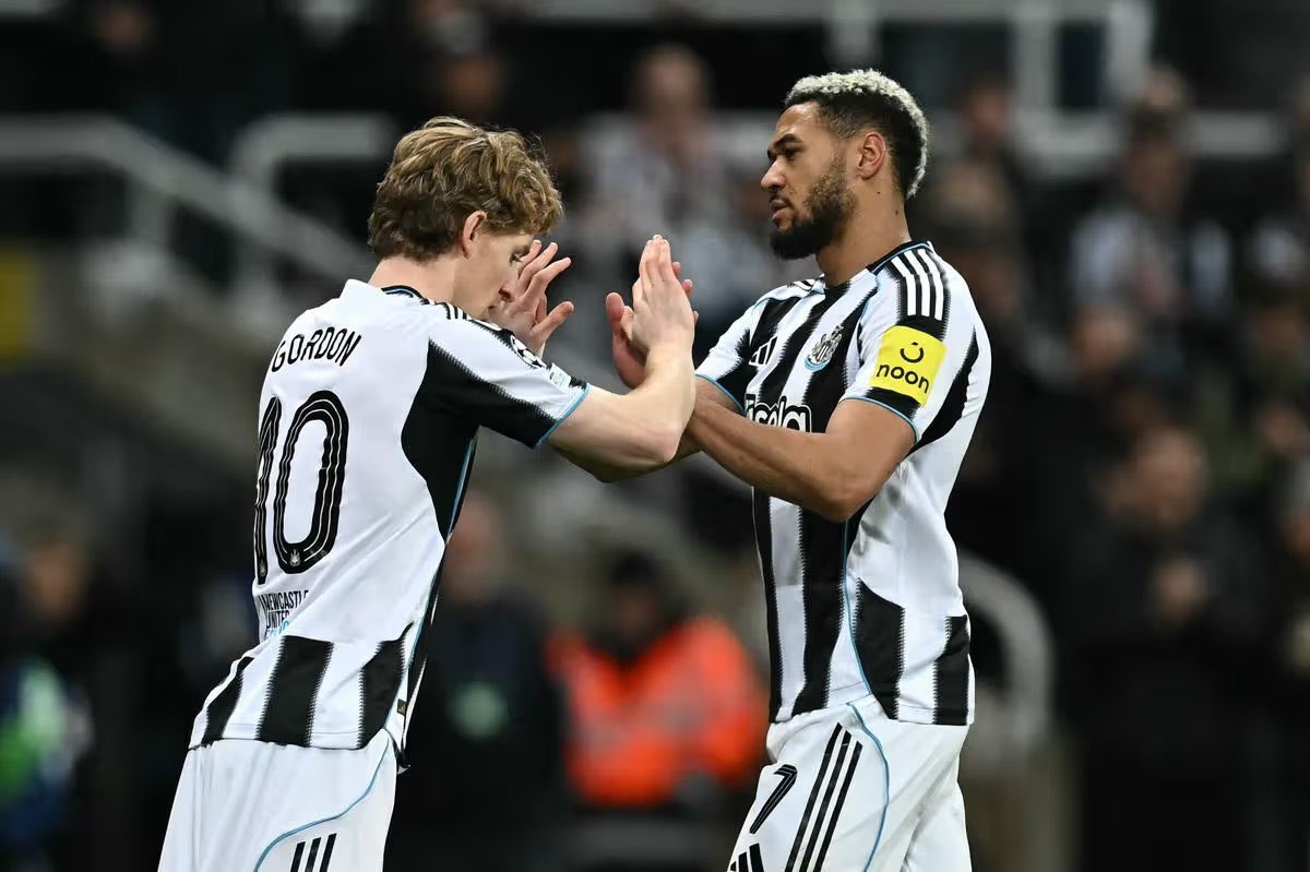 Newcastle United FR 🇫🇷 tweet media