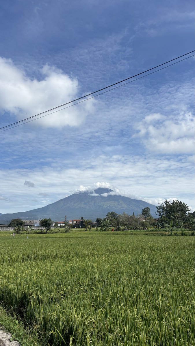 Bluebutterfly tweet media