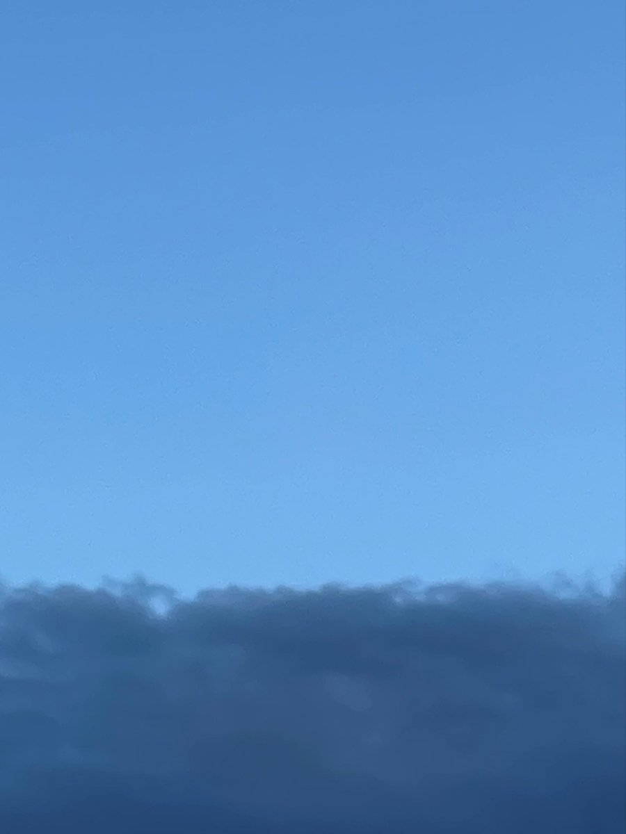 こだま和文 tweet media