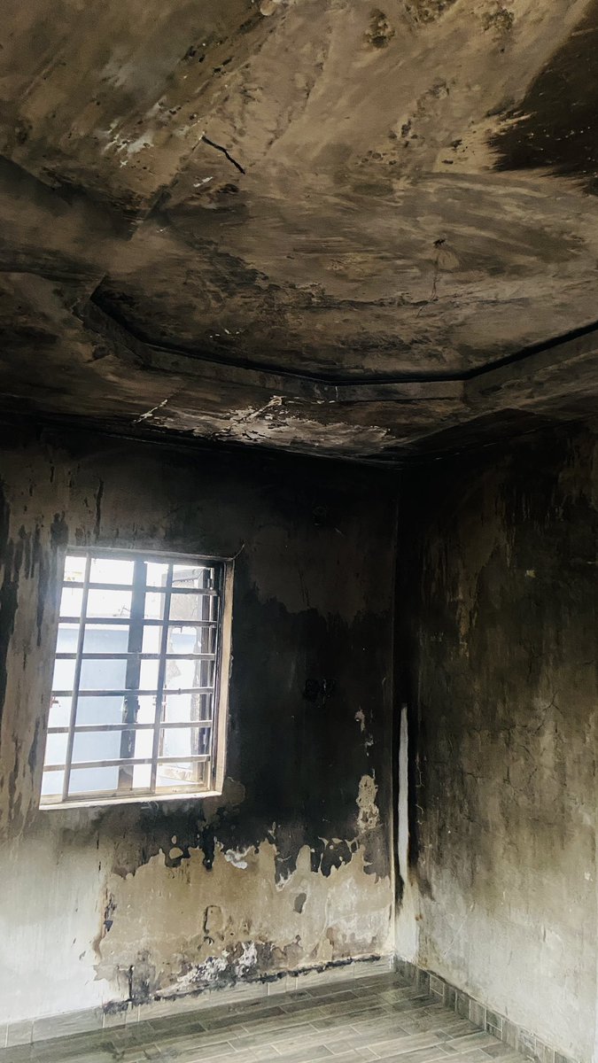 Queen Ella☢️✂️❤️ tweet media