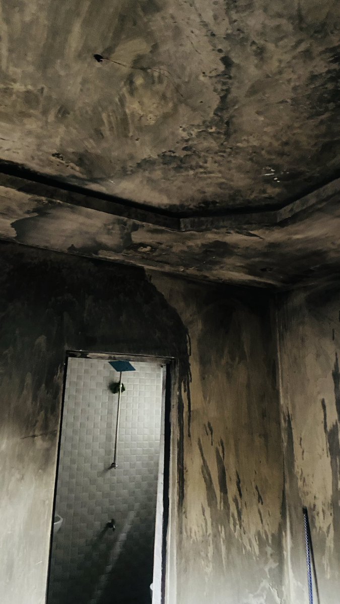 Queen Ella☢️✂️❤️ tweet media