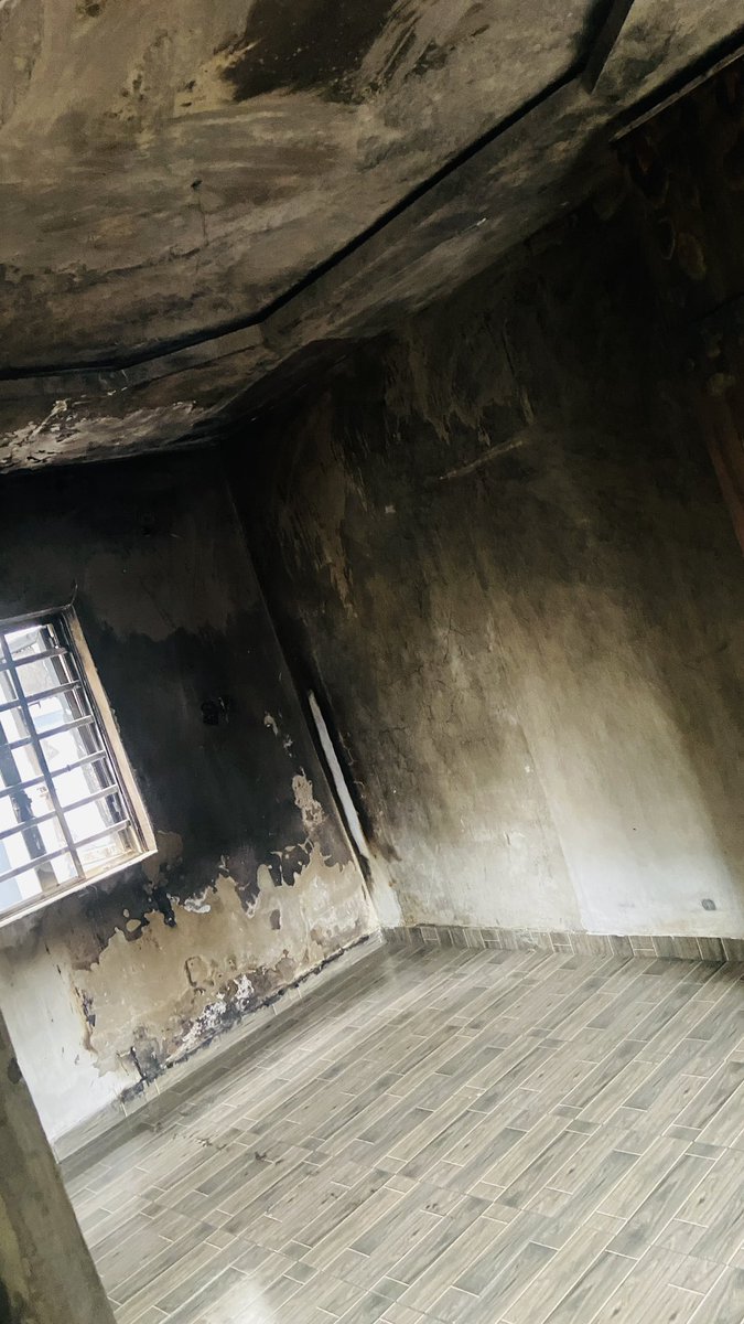 Queen Ella☢️✂️❤️ tweet media