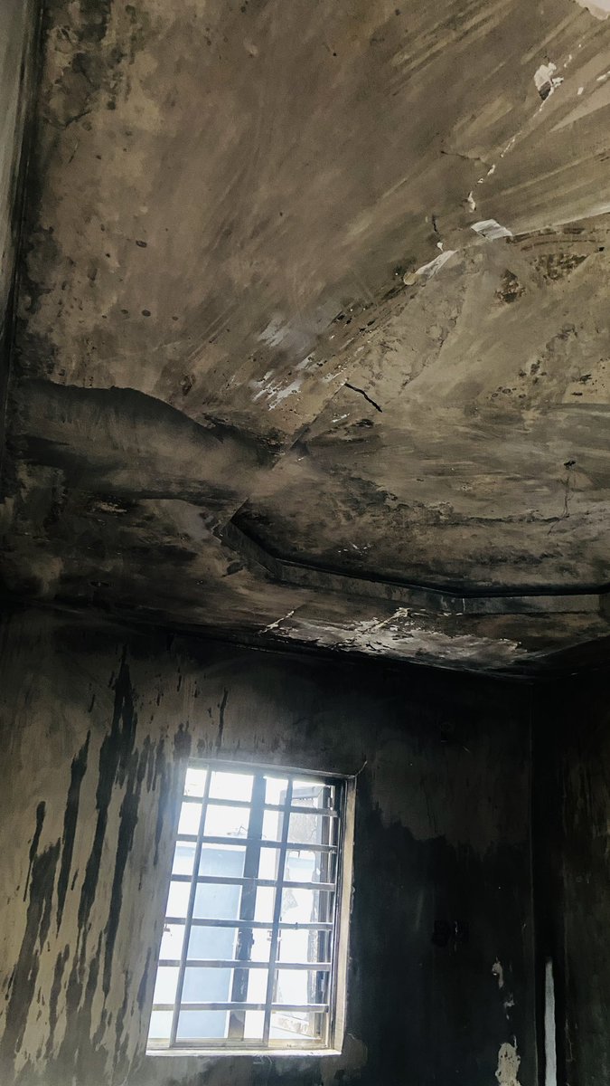 Queen Ella☢️✂️❤️ tweet media