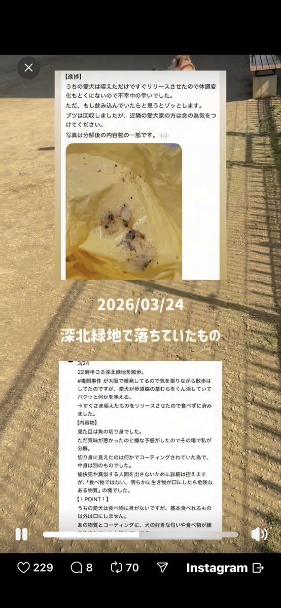 🐶C🐶2️⃣ tweet media