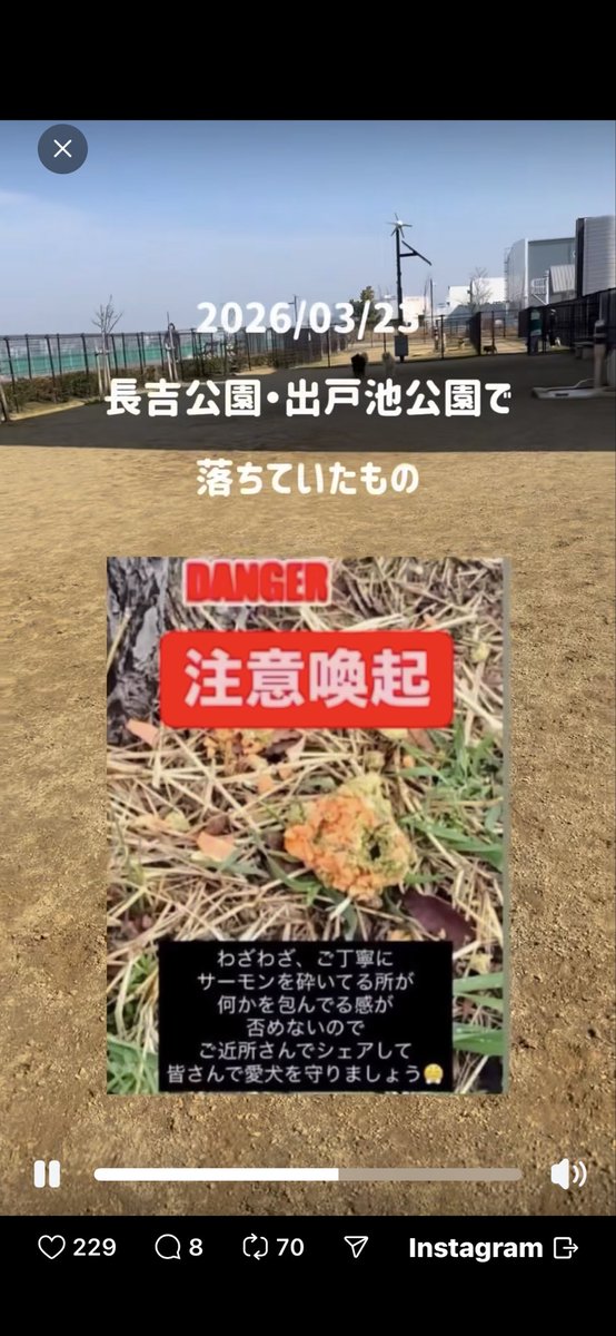 🐶C🐶2️⃣ tweet media