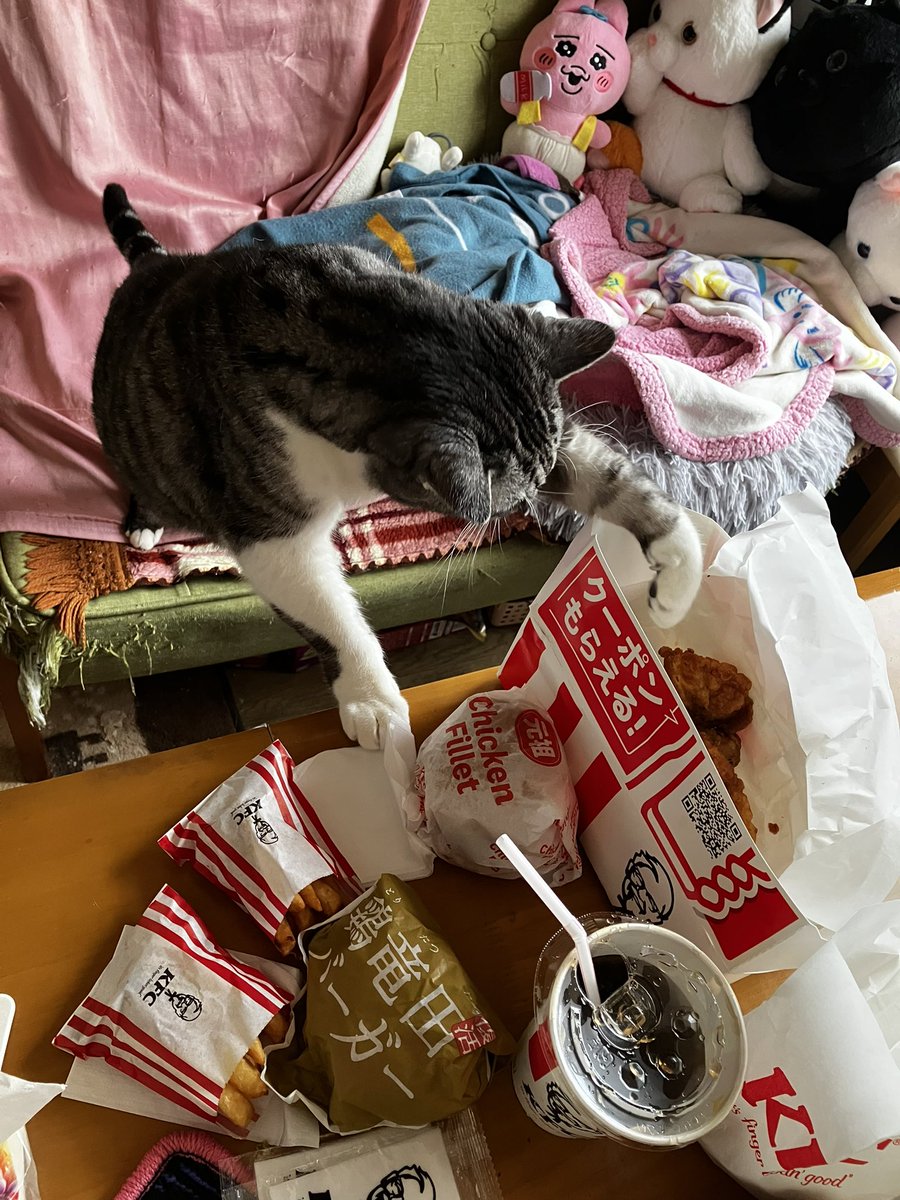 まみち tweet media