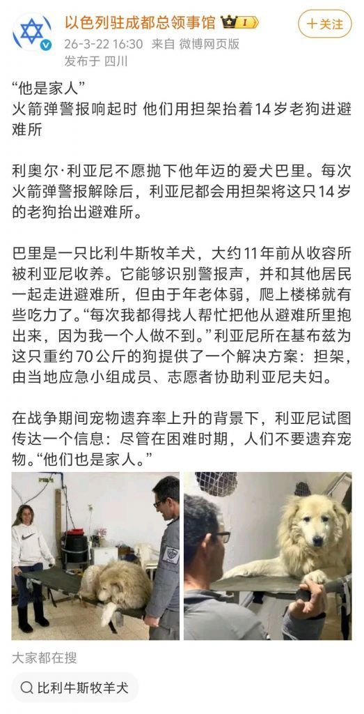 Eason Mao☢ tweet media