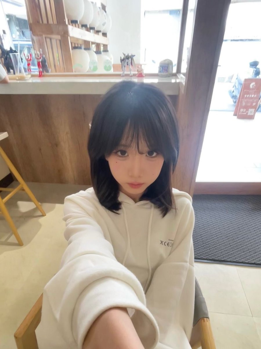 貓貓蟲~ tweet media