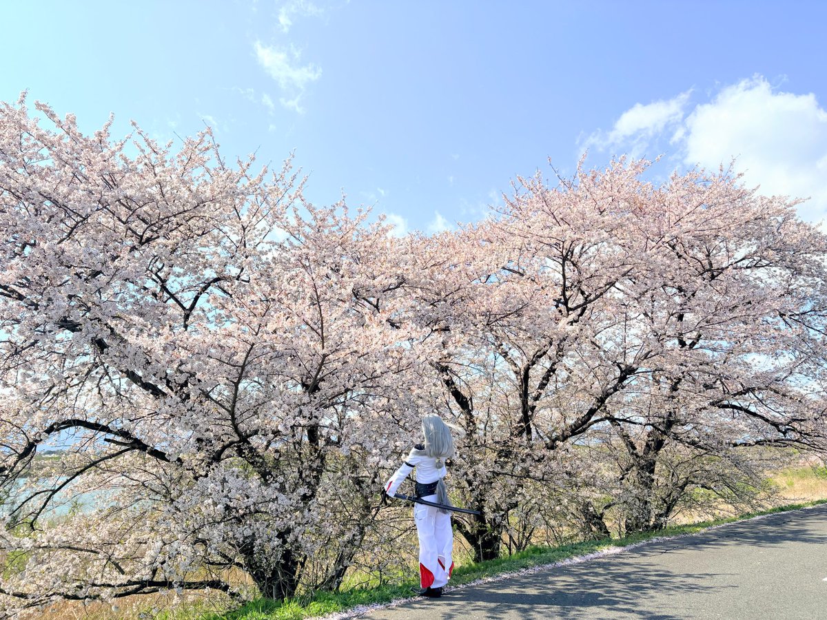 久々に撮影！ごっちんと姫に運転してもらった✌️桜とても綺麗だったよ🌸