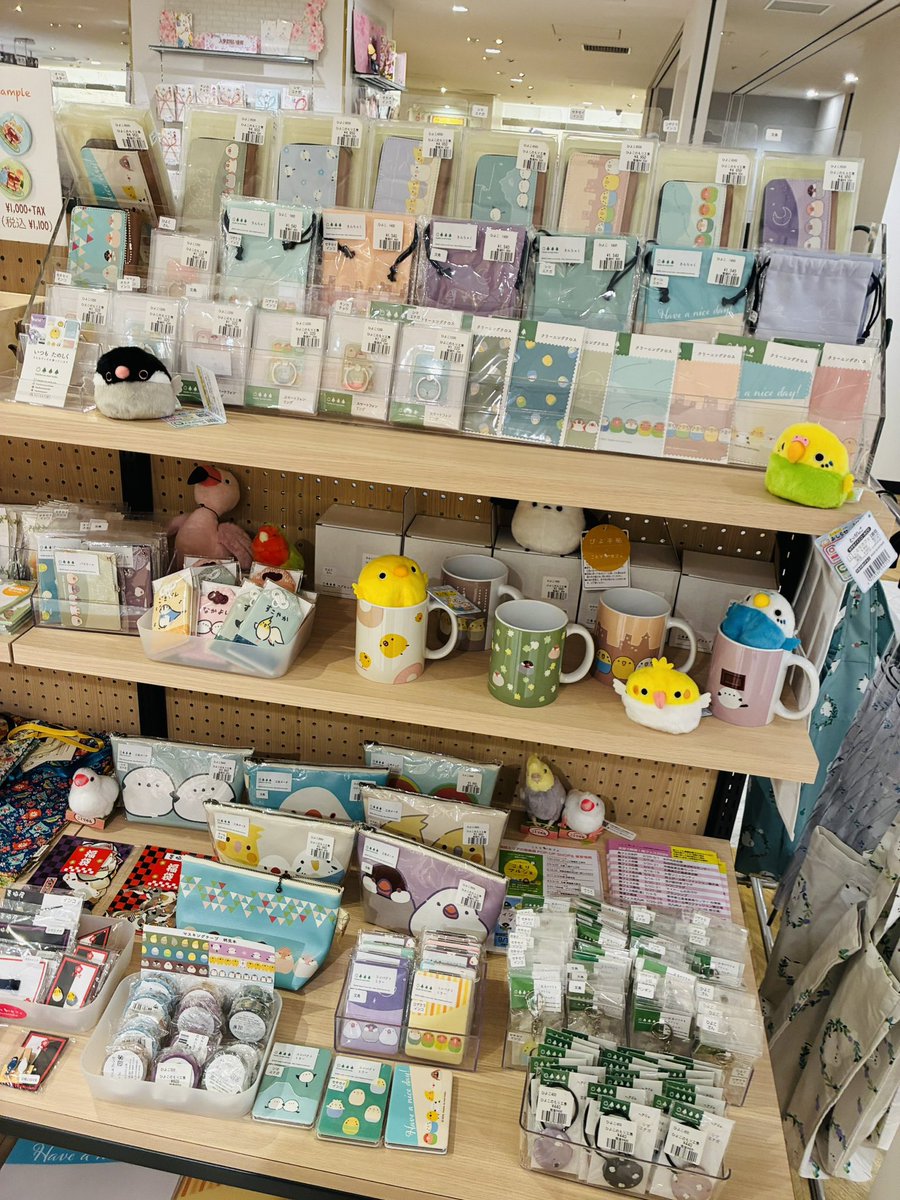 株式会社ことりカフェ【公式】鳥フェス広島4/4-5 tweet media