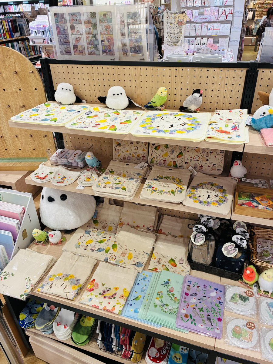 株式会社ことりカフェ【公式】鳥フェス広島4/4-5 tweet media