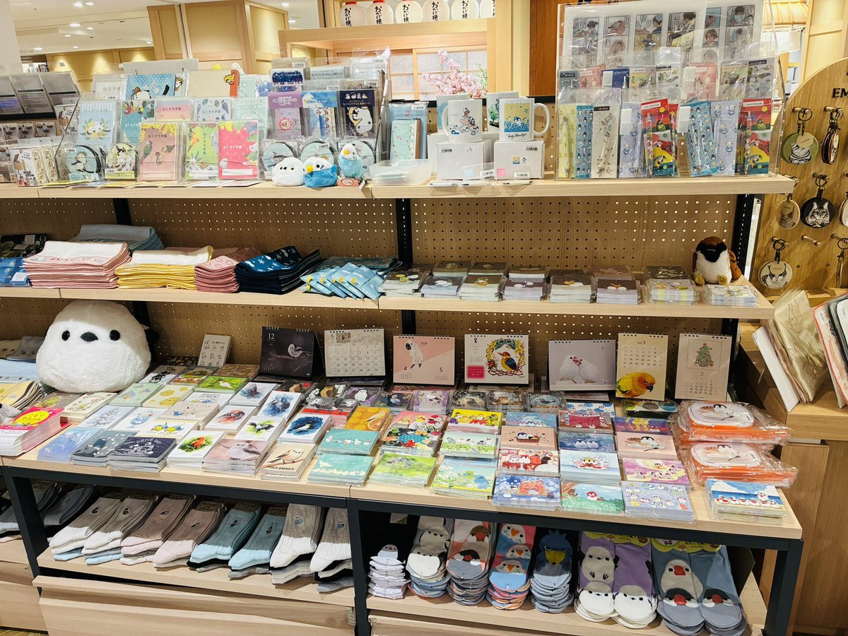 株式会社ことりカフェ【公式】鳥フェス広島4/4-5 tweet media