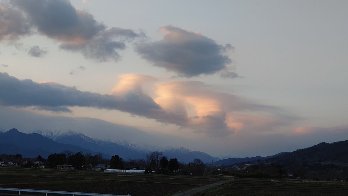 ぶなぱう25 tweet media