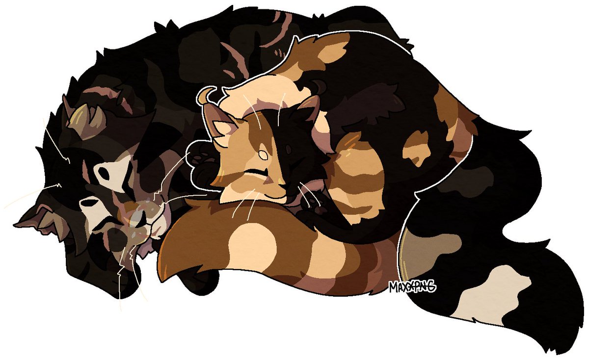 max 🌿🌊 tweet media