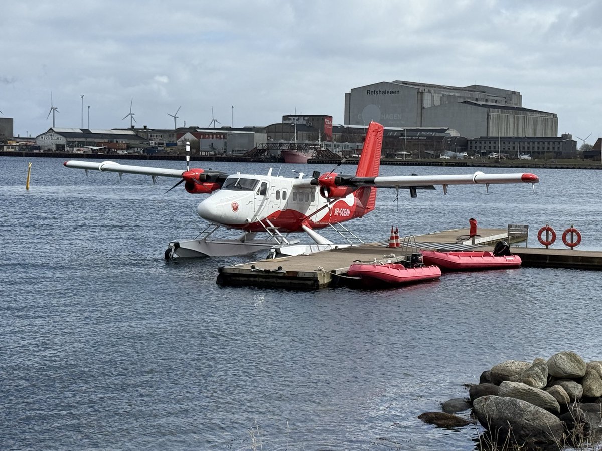 TIMxBRIDGE tweet media