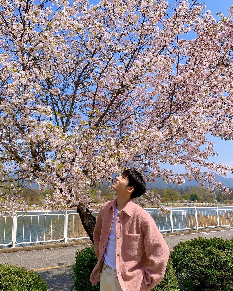 윈윈 얼굴 tweet media