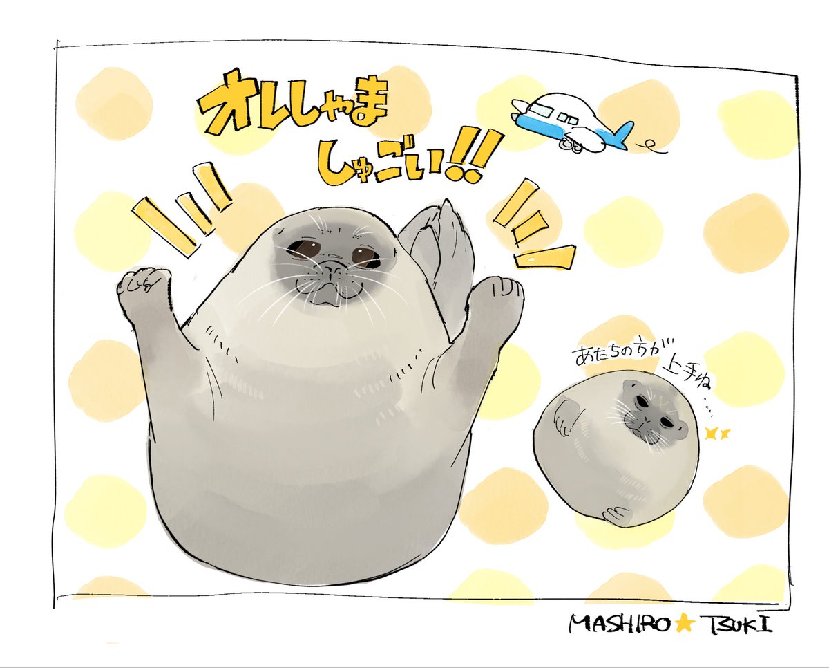 お粥🦭 tweet media