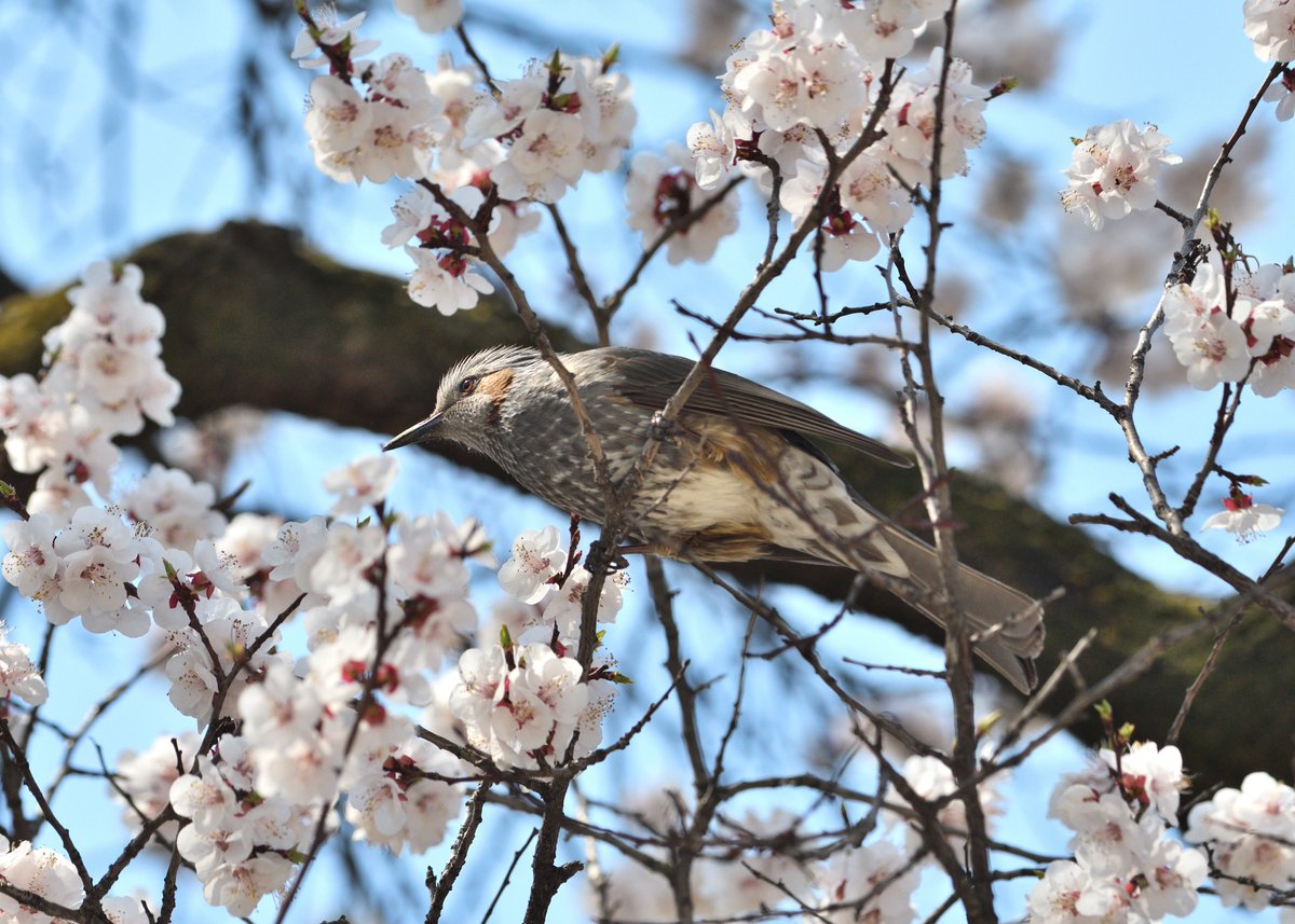 무민투 tweet media