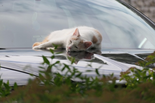 Dean Marshall tweet media