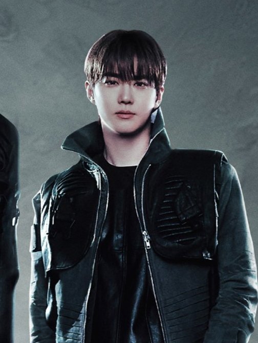 SUHO pixel tweet media