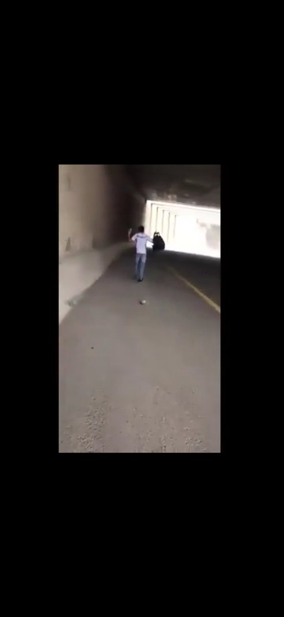 Lutfi Karabulut tweet media