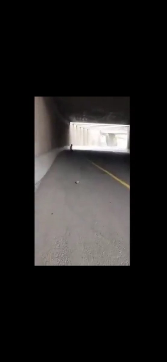 Lutfi Karabulut tweet media