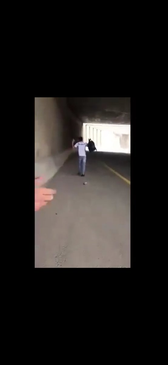 Lutfi Karabulut tweet media