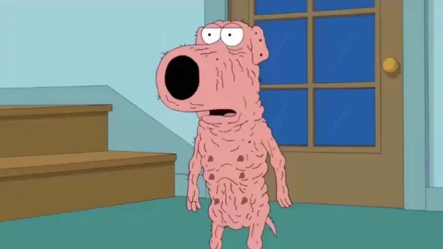 łƝƇⱤₑĐᵢ฿Ⱡ𝙚, ΣĐᵢ฿ⱠɆ, ƛ฿ò₥ᵢ₦⩜⃝฿Ⱡ𝙚 Ṃ𝖎Ƈ₭ 𝕯𝖎₳฿ӨⱠɄֆ tweet media