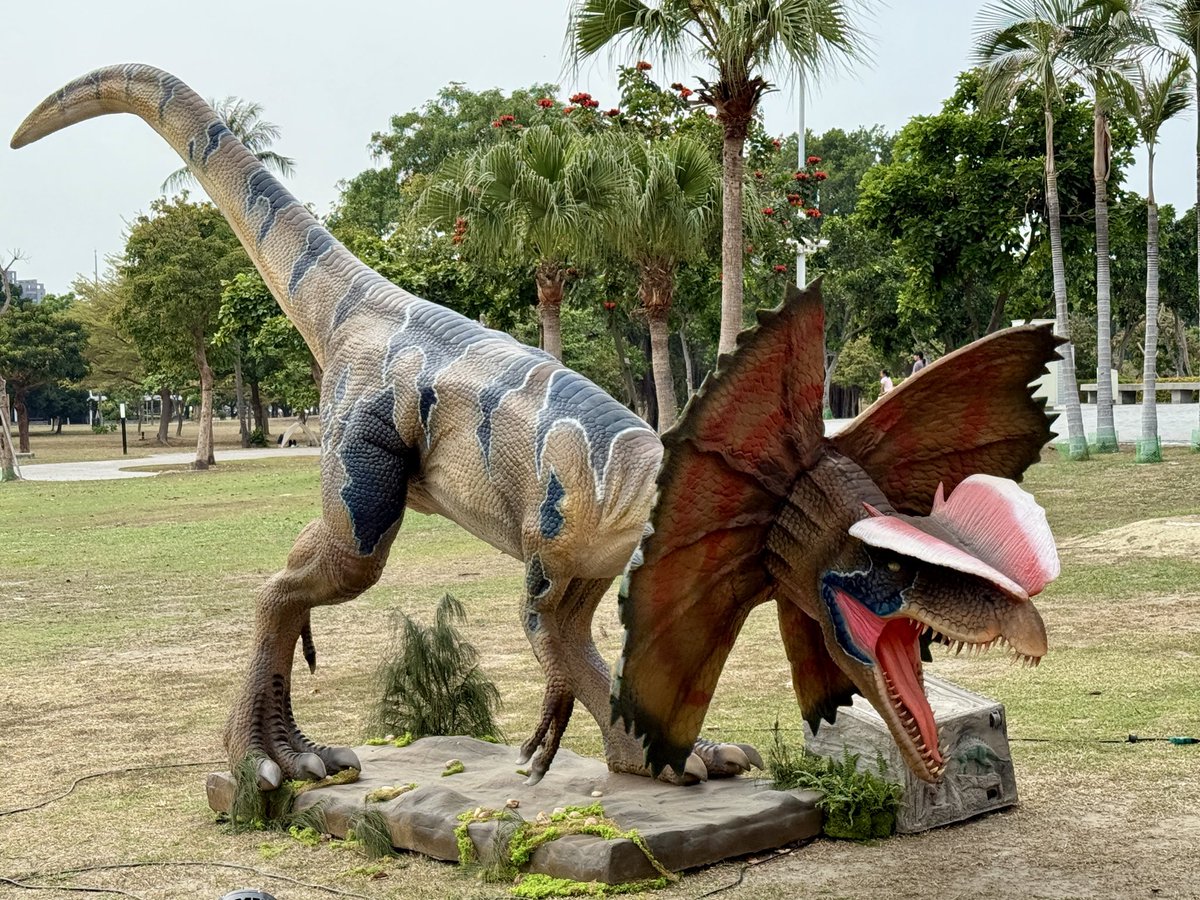 david600808's tweet photo. 練習拍🦕🦖 https://t.co/lYitq5JQ7Z