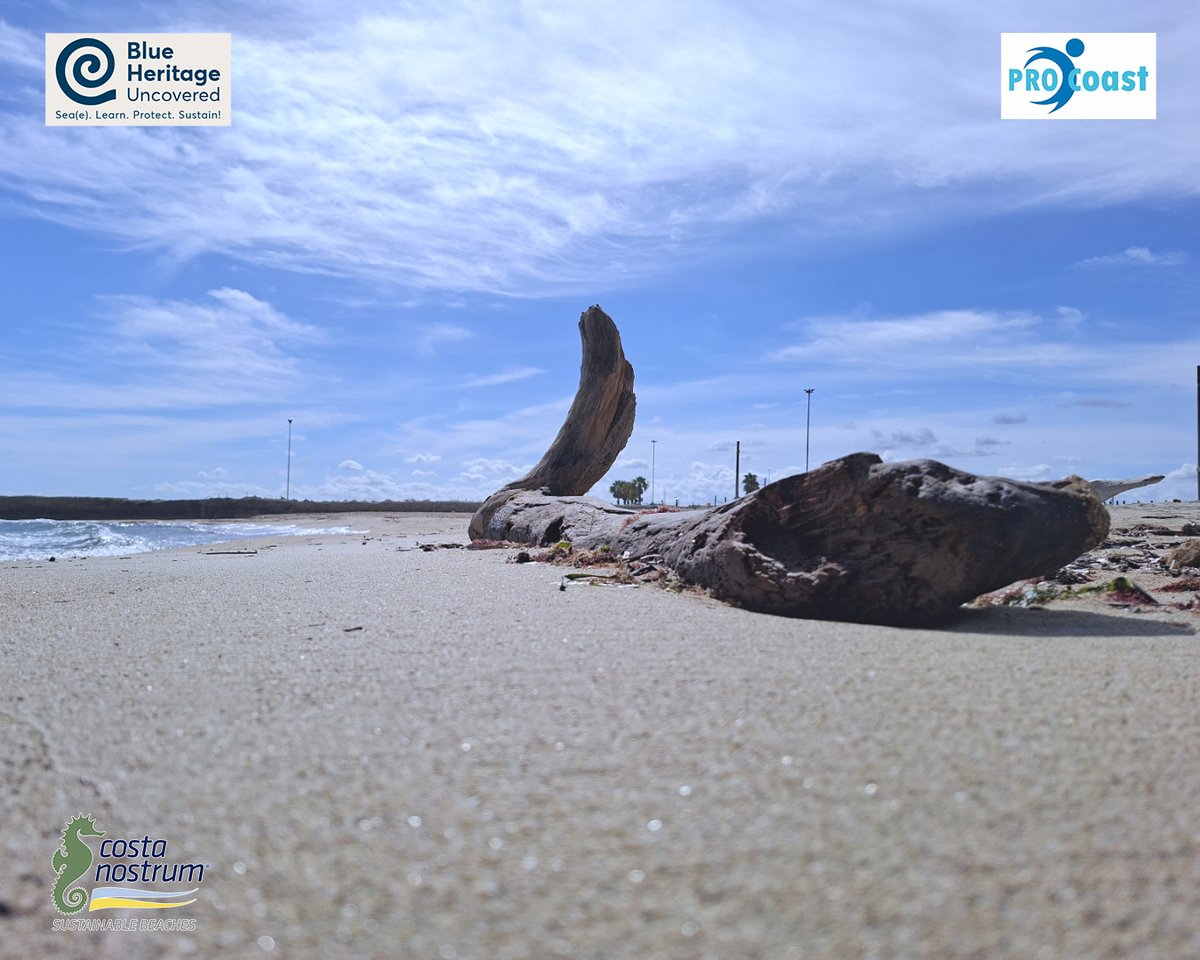 CostaNostrum's tweet photo. 📍Frigole Beach: Where Nature and Memory Meet

ℹ️ Case study visit in the framework of @PRO_C0ast EU Horizon Project  

#ProCoast #EUHorizon #BlueLagoon #Malta https://t.co/MEyioA7LXl