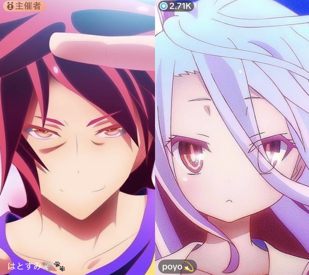 poyo💫 tweet media