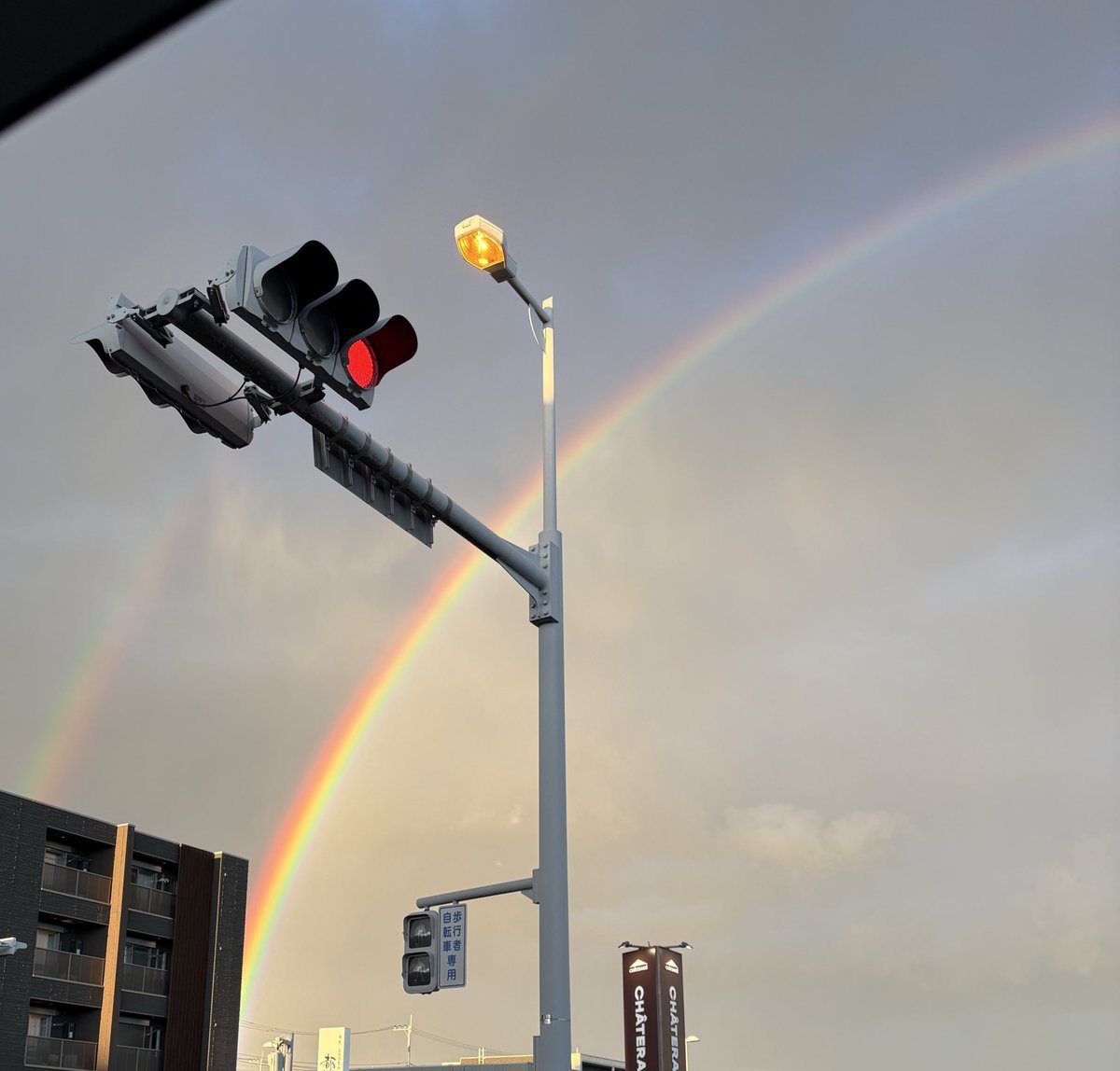 なるこ໒꒱🥈 tweet media