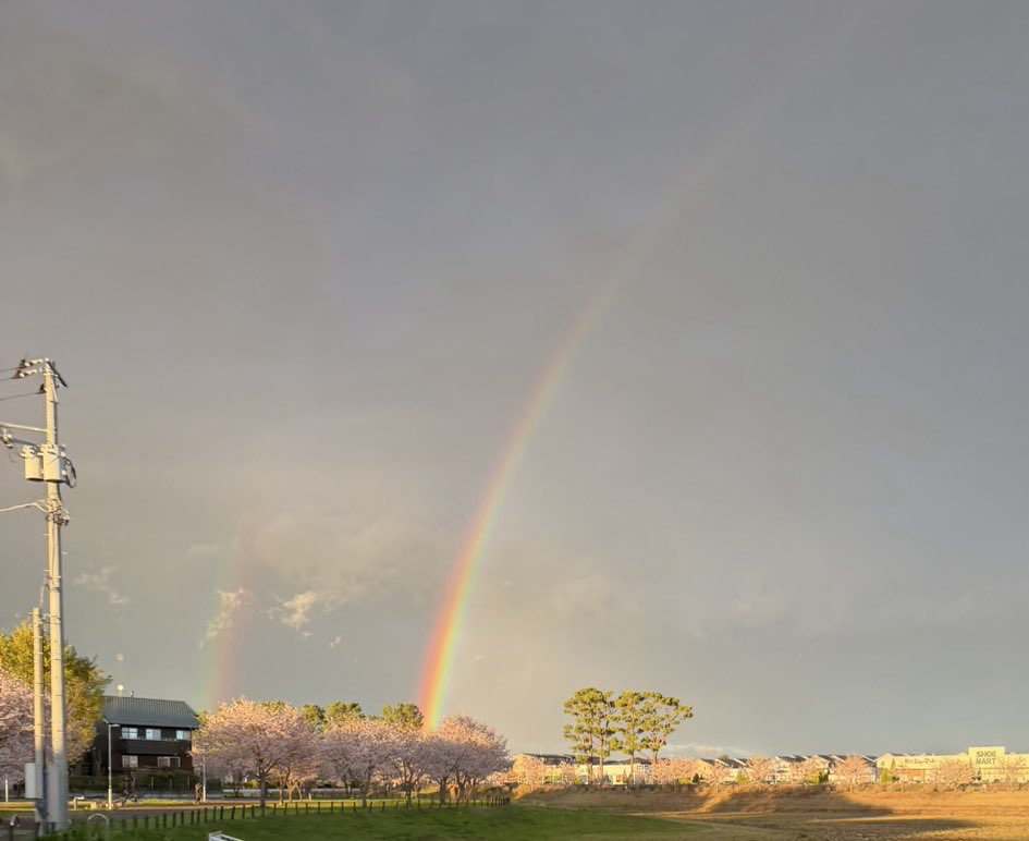 なるこ໒꒱🥈 tweet media