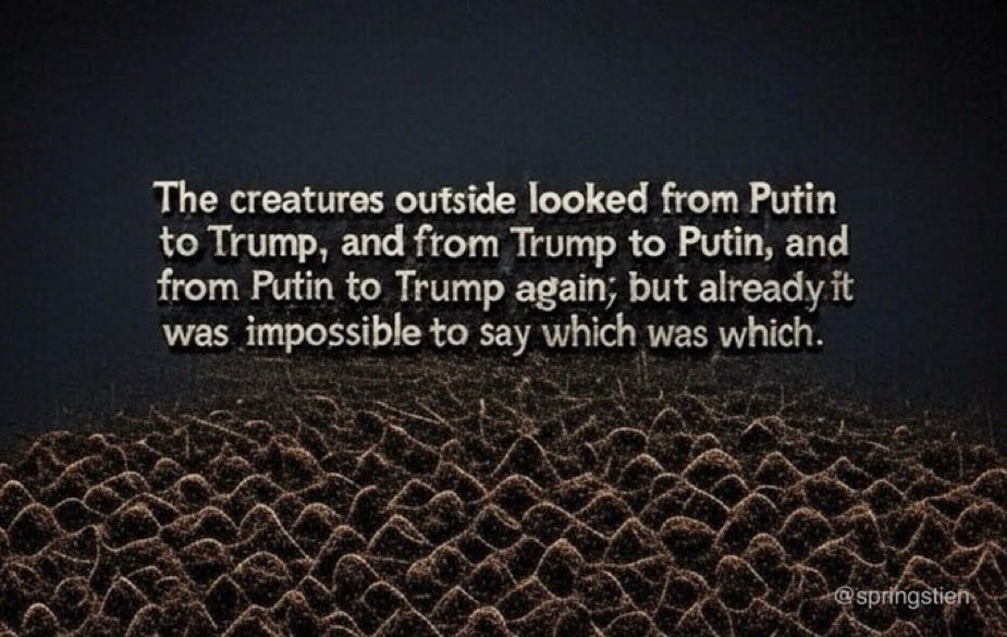 Anvil Springstien tweet media