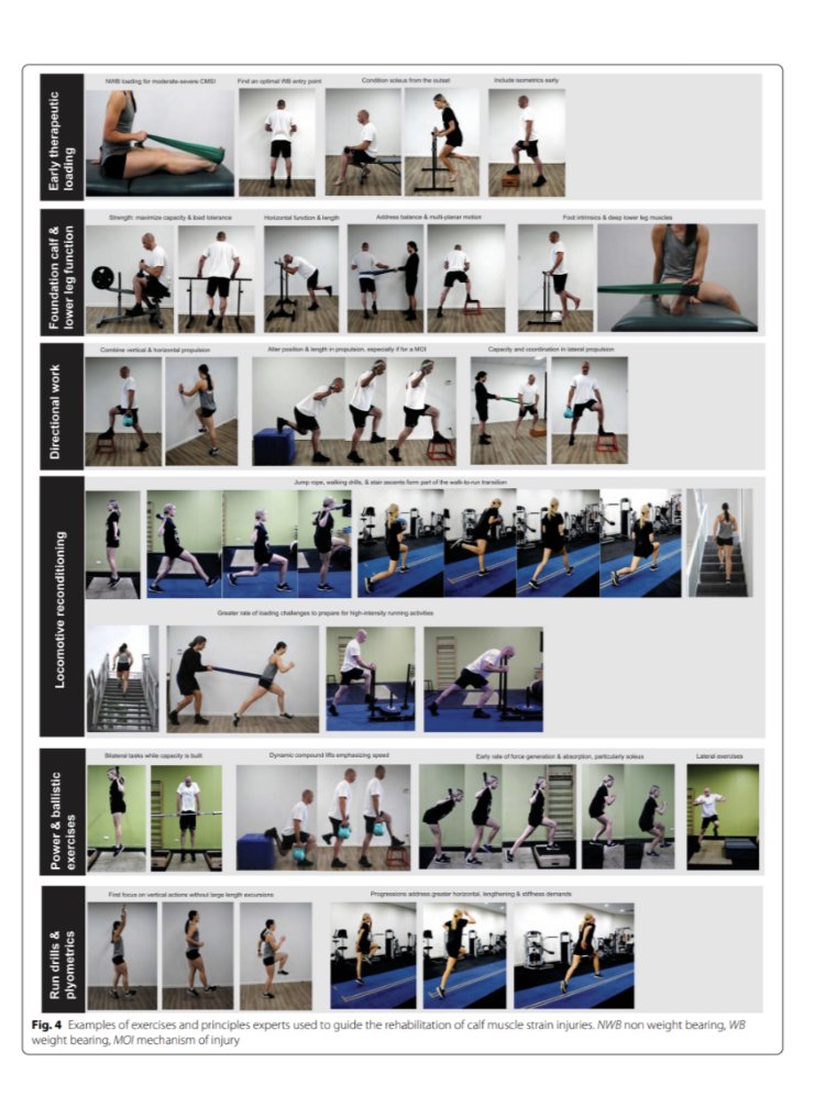 The Football Physio tweet media