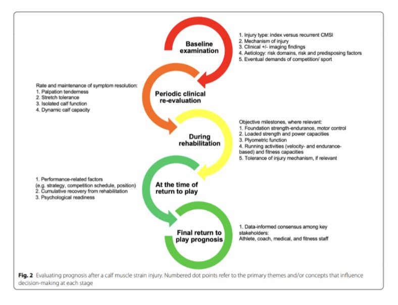 The Football Physio tweet media